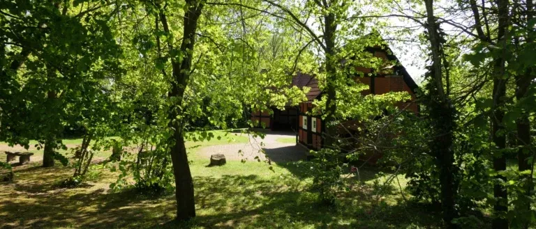 Fachwerkhaus im Wald mit Bäumen und Schatten